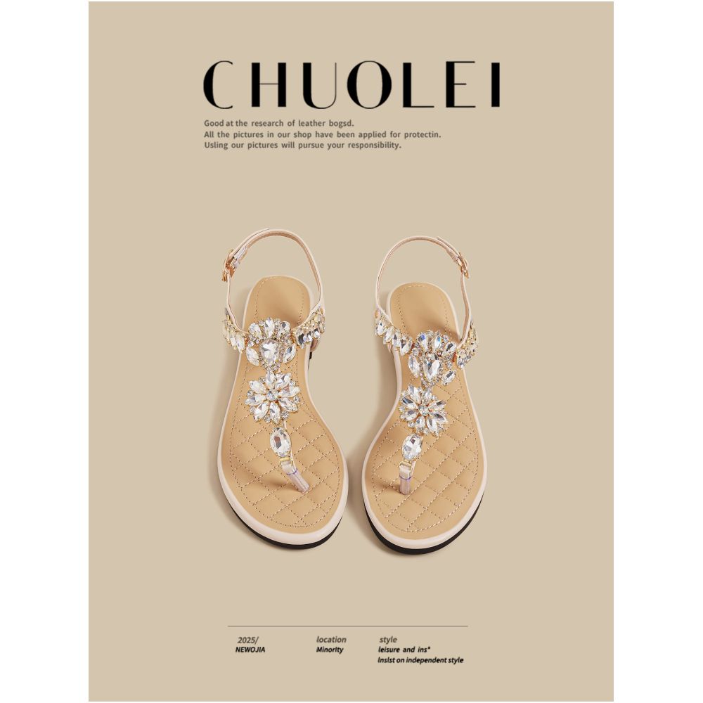 Flat sandals for women in summer 2025 new style with French retro design and a lazy beach feel Roman slippers for outdoor wear image 0